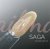 Гель-лак SAGA для ногтей Glow Cat №07, Капучино, 9мл